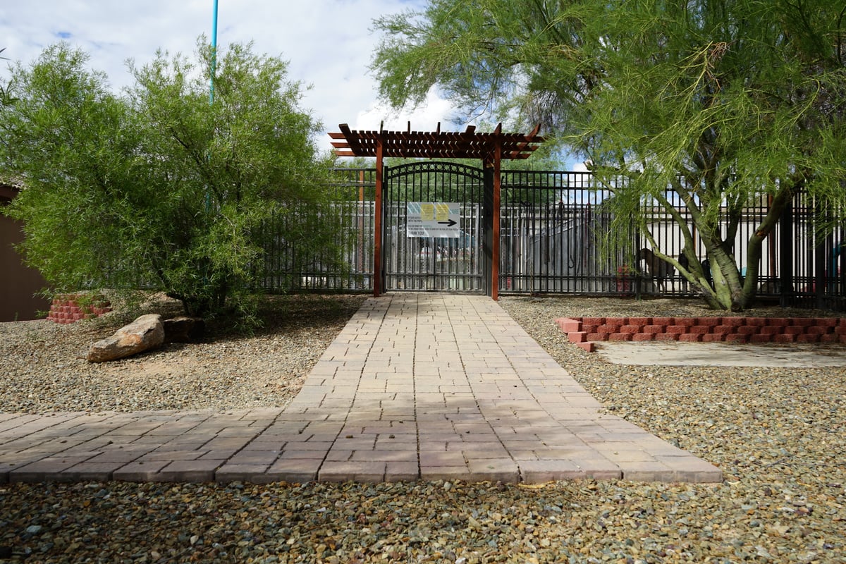 Arched wrought-iron gate with a wooden pergola at a fenced Scottsdale-area yard entrance