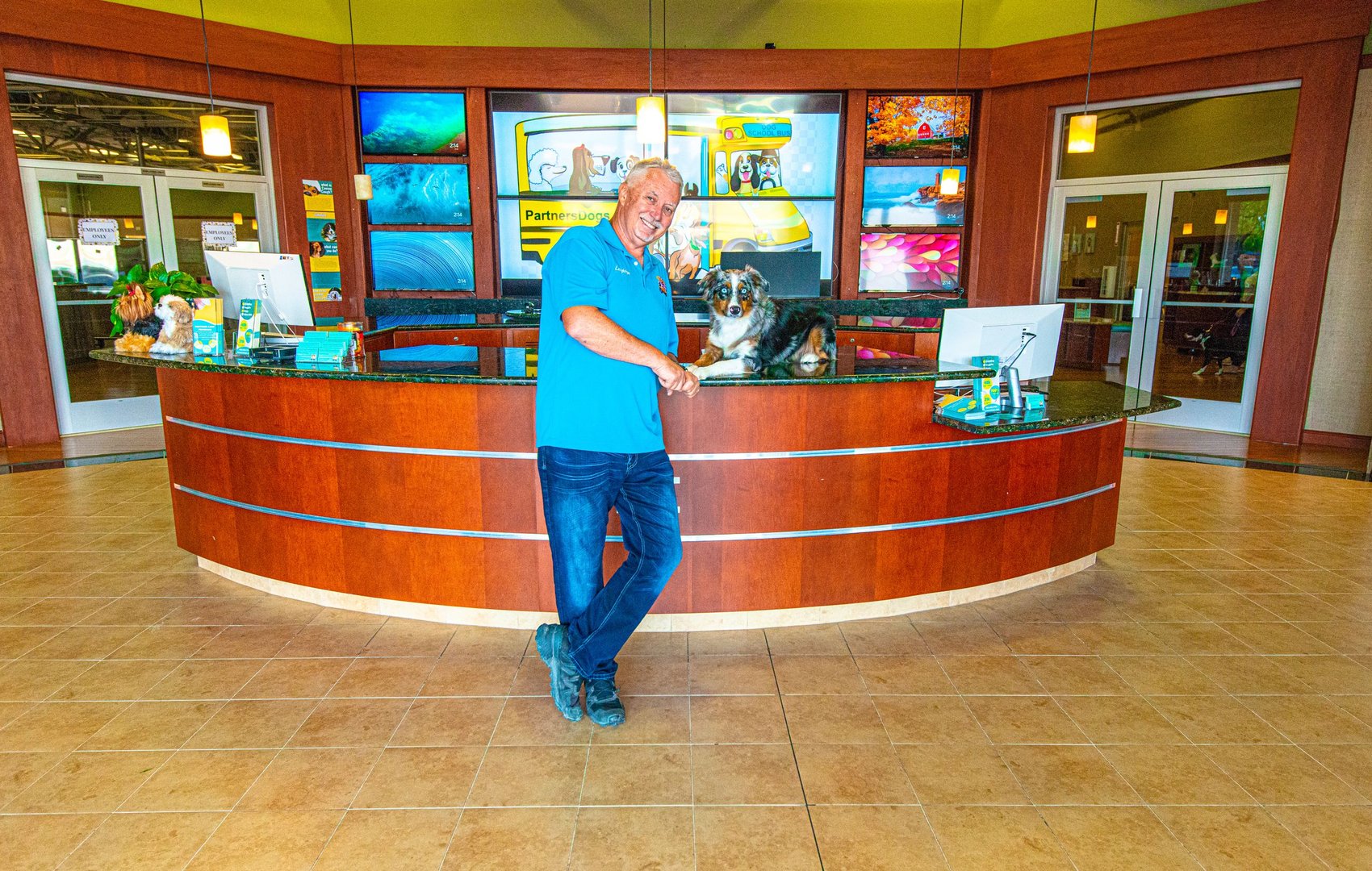 Partners Dogs staff member greeting an adult Australian Shepherd resting on the front desk counter in the Scottsdale campus lobby.