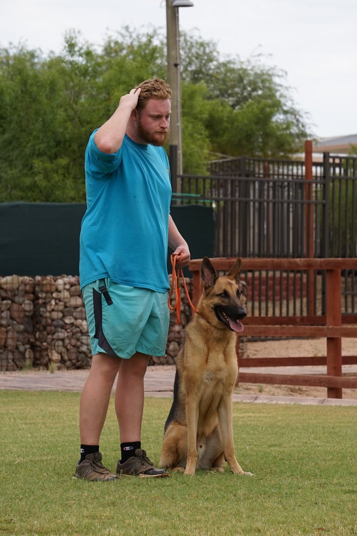 Partners Dogs trainer in a teal shirt standing beside a German Shepherd holding a calm sit-stay during an outdoor obedience training session