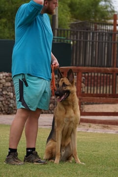 A Partners Dogs trainer in a teal shirt gives a hand signal beside a German Shepherd sitting at heel on an orange leash, on a green grass training field with a wood-and-stone fence behind.