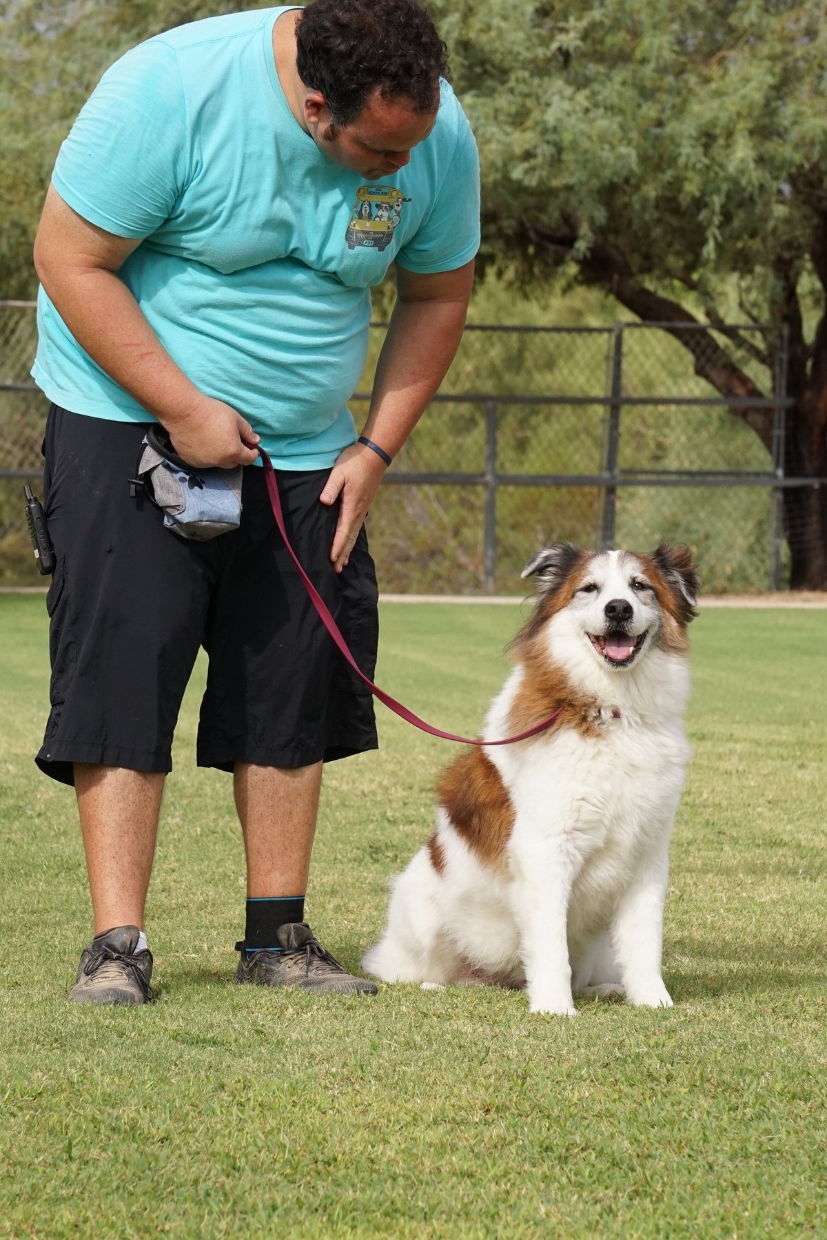 Handler and adult dog on leash working together in a fenced Scottsdale training yard, staying alert to surroundings