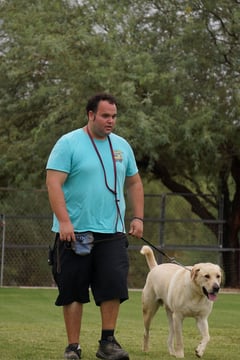 A Partners Dogs trainer in a teal shirt walks a yellow Labrador on a loose leash across a grass training field.