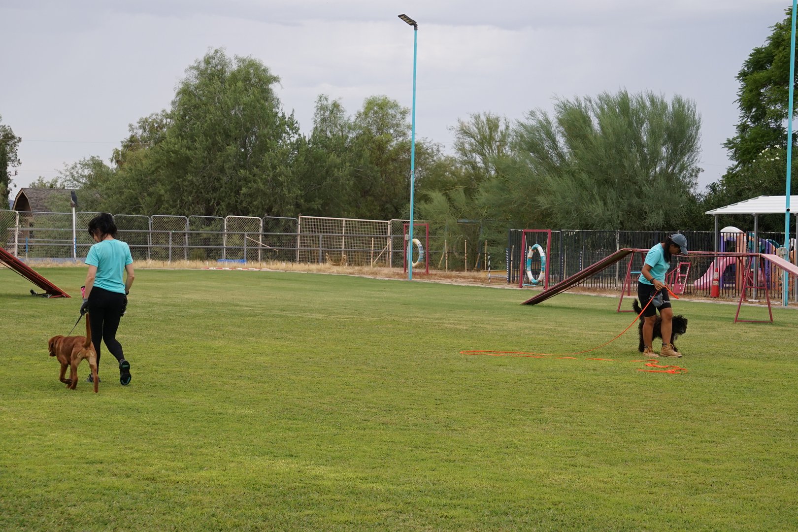 Two Partners Dogs trainers working dogs on leash across the Cave Creek training field, where the school's method has been refined for 28 years.