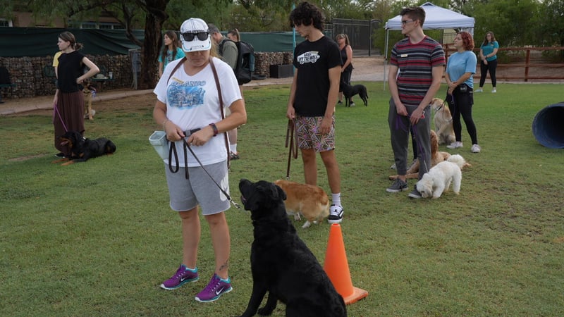 Handlers of different ages, including a teenager, working their dogs together during an outdoor group obedience class at Partners Dogs.
