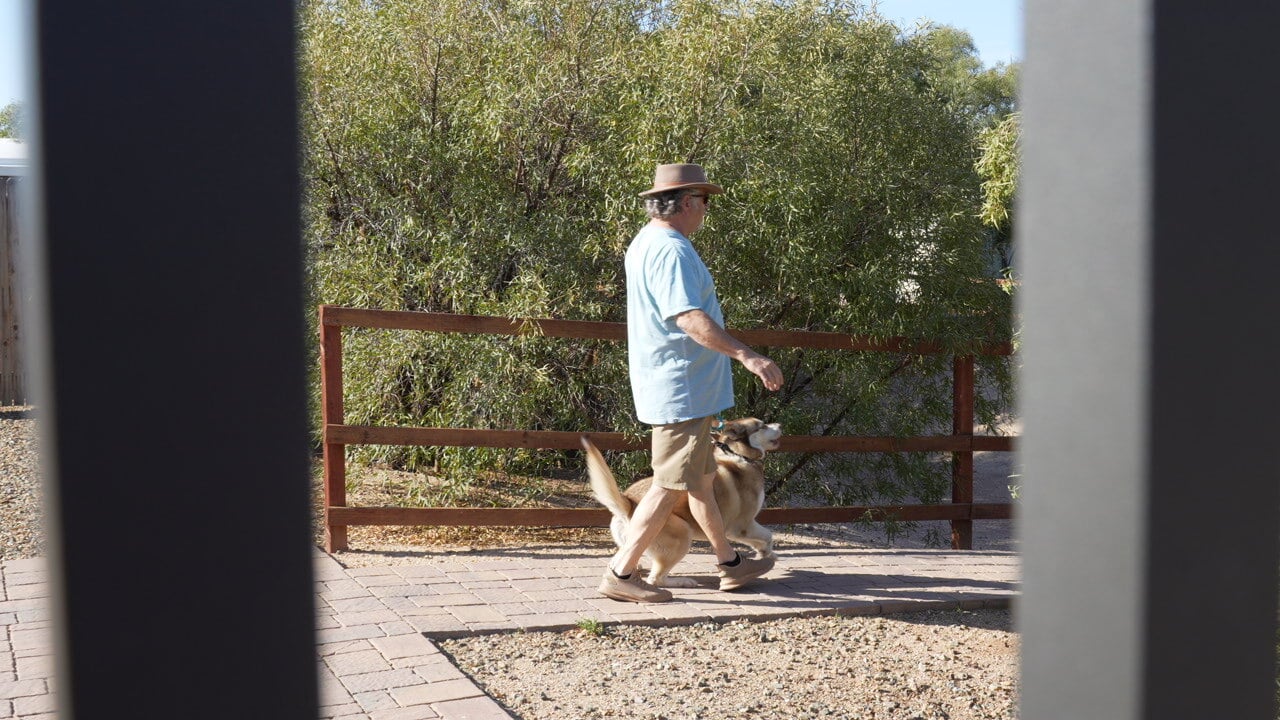 Older gentleman in a straw hat walking a yellow Labrador on leash along a shaded paver path