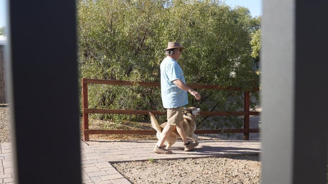 Older gentleman in a straw hat walking a yellow Labrador on leash along a shaded paver path