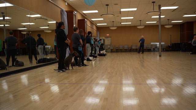 Handlers and their adult dogs, including a full-grown Pit Bull-type dog at heel in the foreground, sit calmly along a mirrored wall during a Partners Dogs Group Classes session in Scottsdale while an instructor addresses the group.