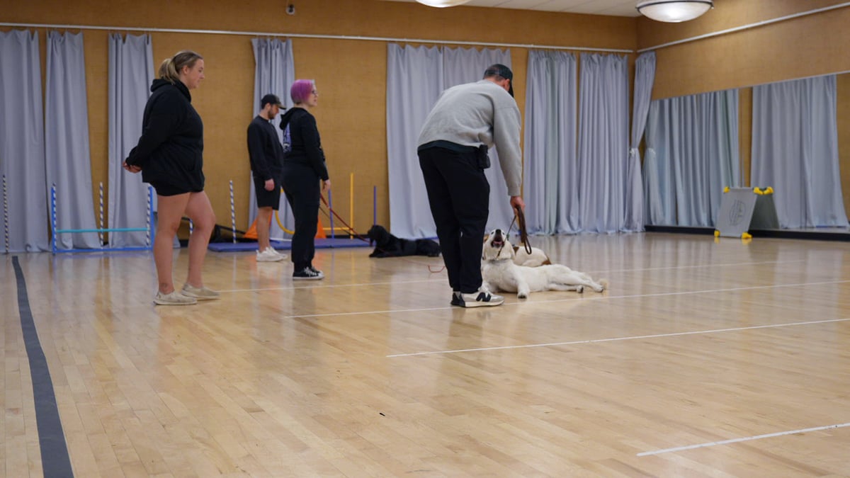 Handlers and dogs working through an outdoor group class exercise at Partners Dogs Scottsdale