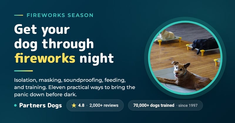 11 Ways To Help Your Dog With Fireworks