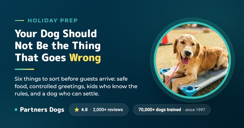 6 Ways for PET PARENTS to Survive the Holidays
