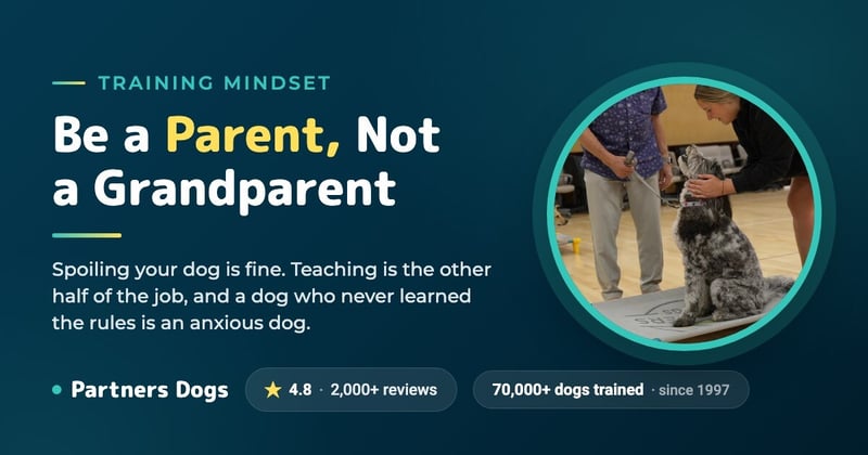Be A Parent, Not a Grandparent