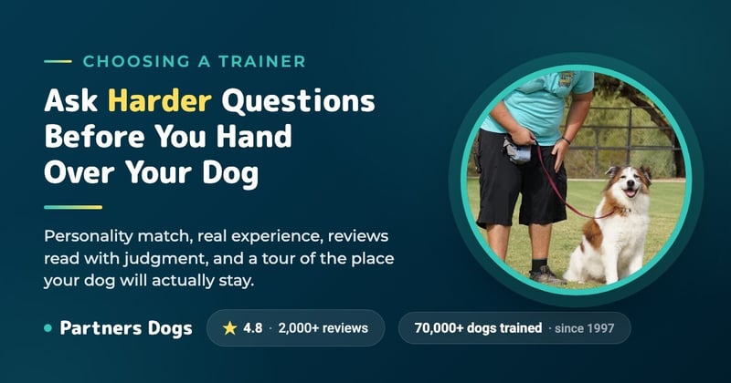 How to Choose a Dog Trainer