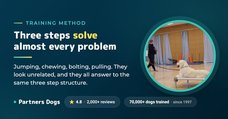 How To: Solve (Almost) Any Problem in Just 3 Steps
