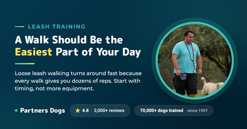 How to Stop Your Dog From Pulling on the Leash