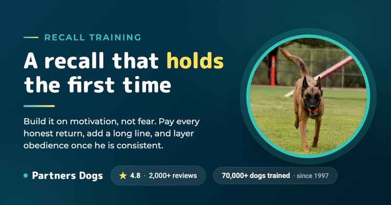 How to teach your dog to come when called