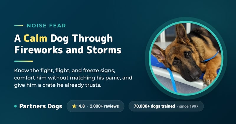 Is your dog afraid of fireworks or thunder?