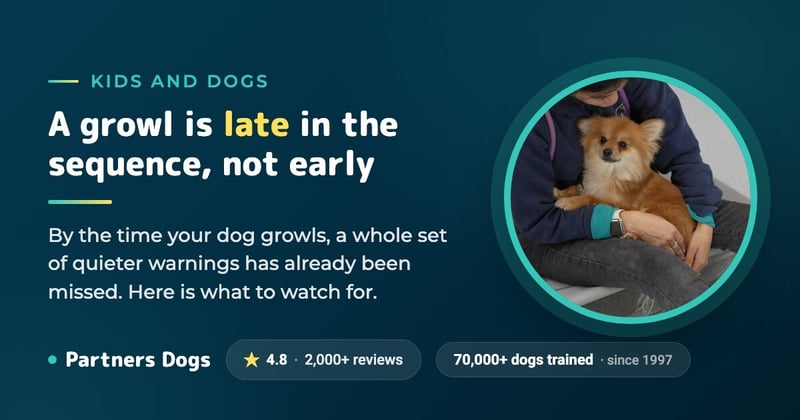 Why do dogs growl at our kids?