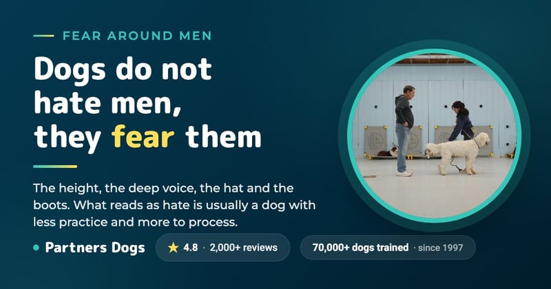 Why Do Dogs Hate Men?
