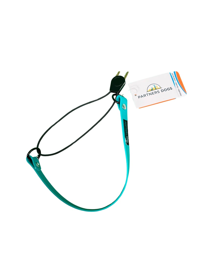 A teal Partners Dogs branded dog collar with a black cord loop, shown against a white background, one of the tool options compared for different dogs.