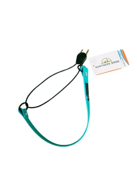 A teal Partners Dogs branded dog collar with a black cord loop, shown against a white background, one of the tool options compared for different dogs.