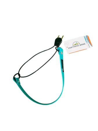 A teal Partners Dogs branded dog collar with a black cord loop, shown against a white background, one of the tool options compared for different dogs.