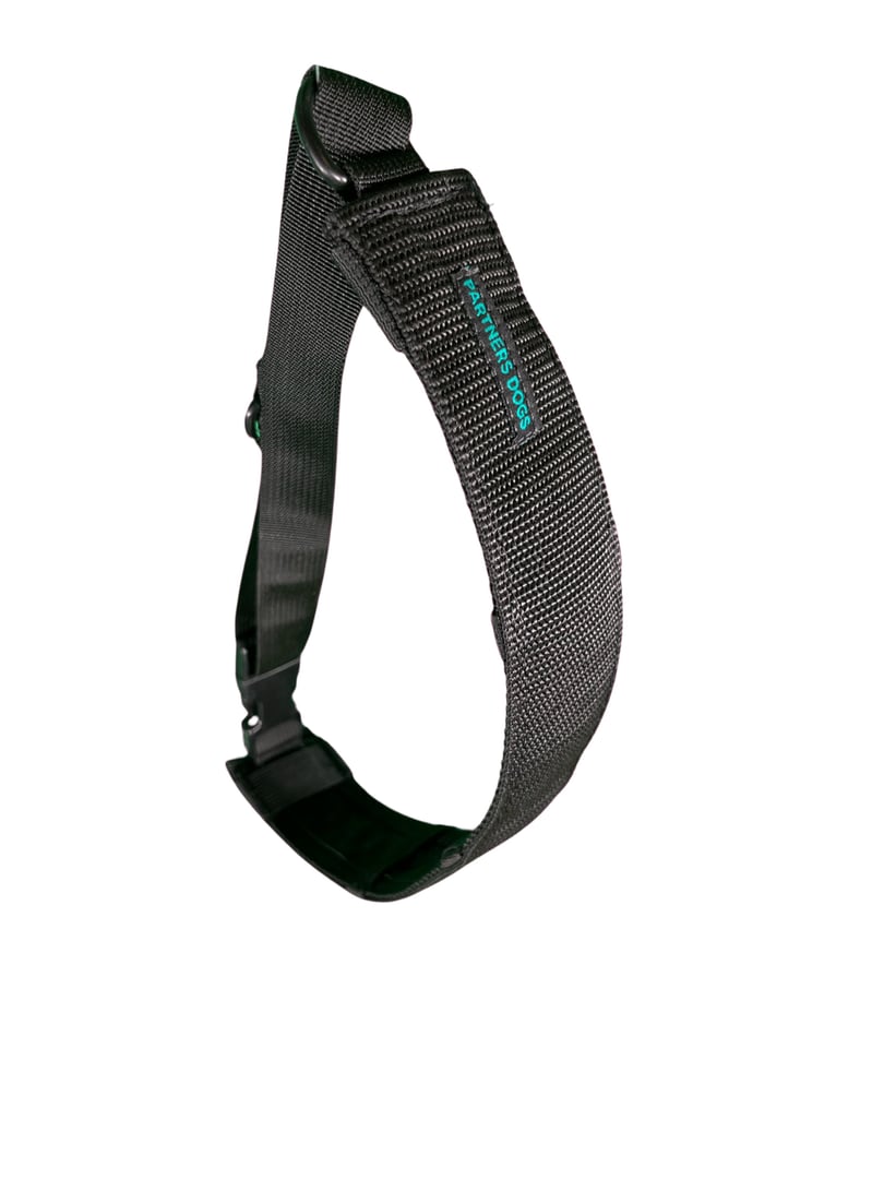 A black Partners Dogs branded dog collar with a D-ring and buckle, shown against a white background, one of the tools compared for the force it applies.
