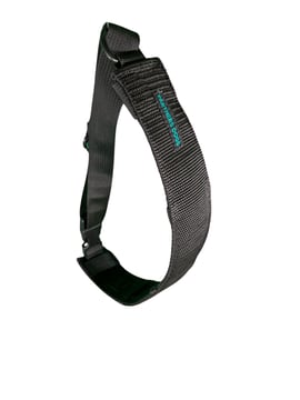 A black Partners Dogs branded dog collar with a D-ring and buckle, shown against a white background, one of the tools compared for the force it applies.