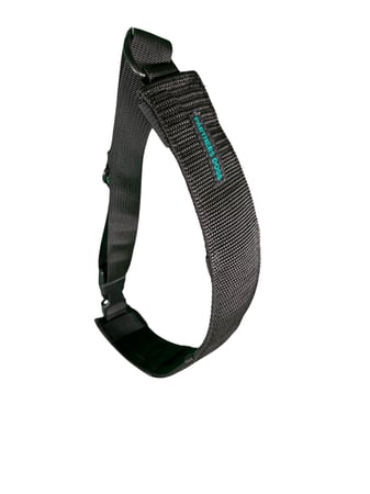 A black Partners Dogs branded dog collar with a D-ring and buckle, shown against a white background, one of the tools compared for the force it applies.
