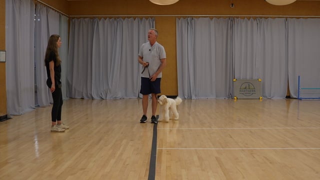 A trainer works a white doodle through a heel exercise in an indoor Partners Dogs training room while a client watches and learns the cues, the facility-based side of the in-home-versus-facility training decision.
