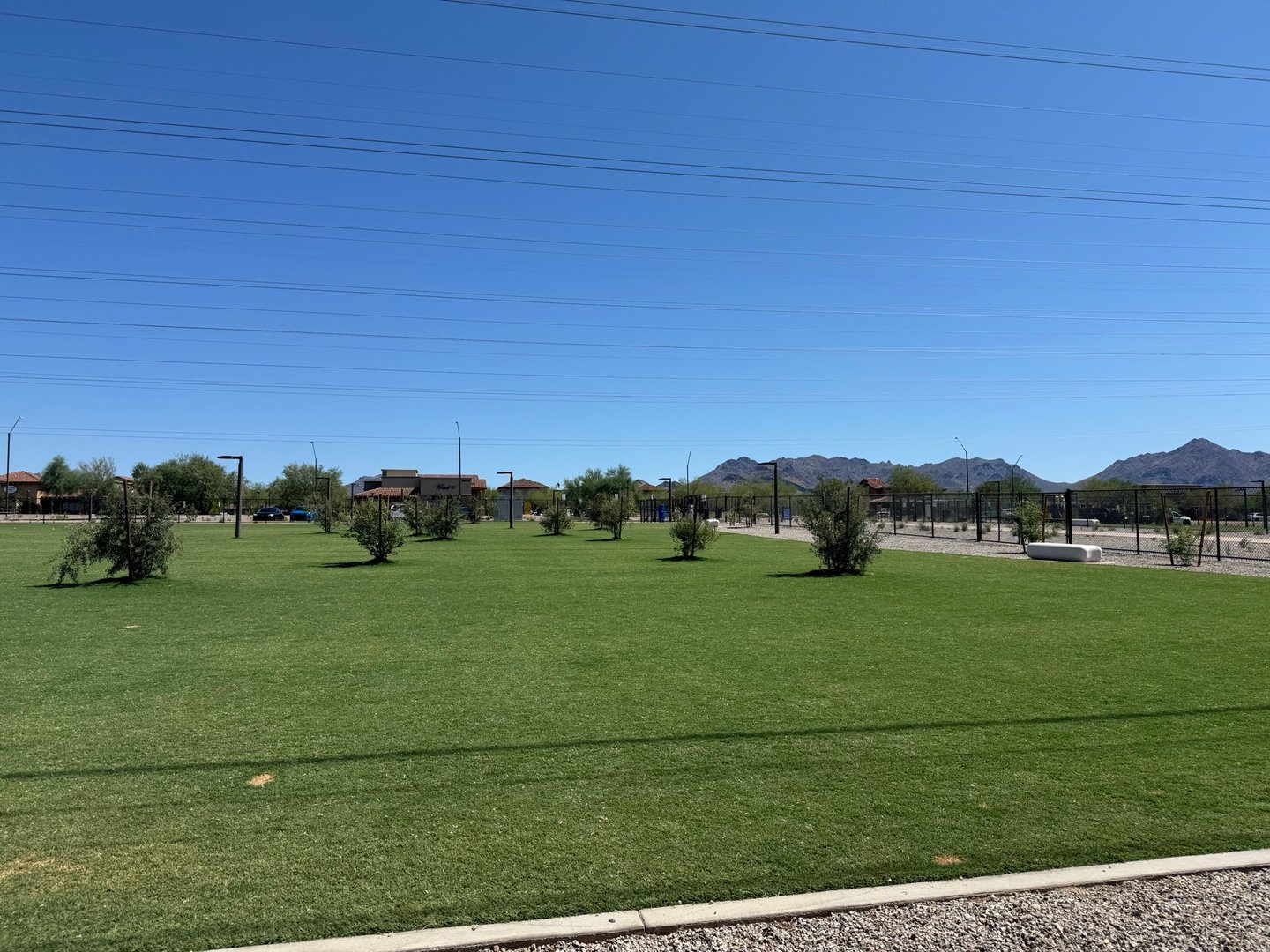 A dog trotting alone across an open turf cell at Thompson Peak Dog Park with the McDowell Mountains behind it