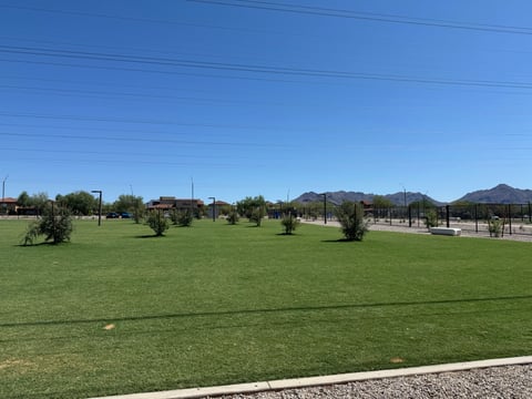 A dog trotting alone across an open turf cell at Thompson Peak Dog Park with the McDowell Mountains behind it