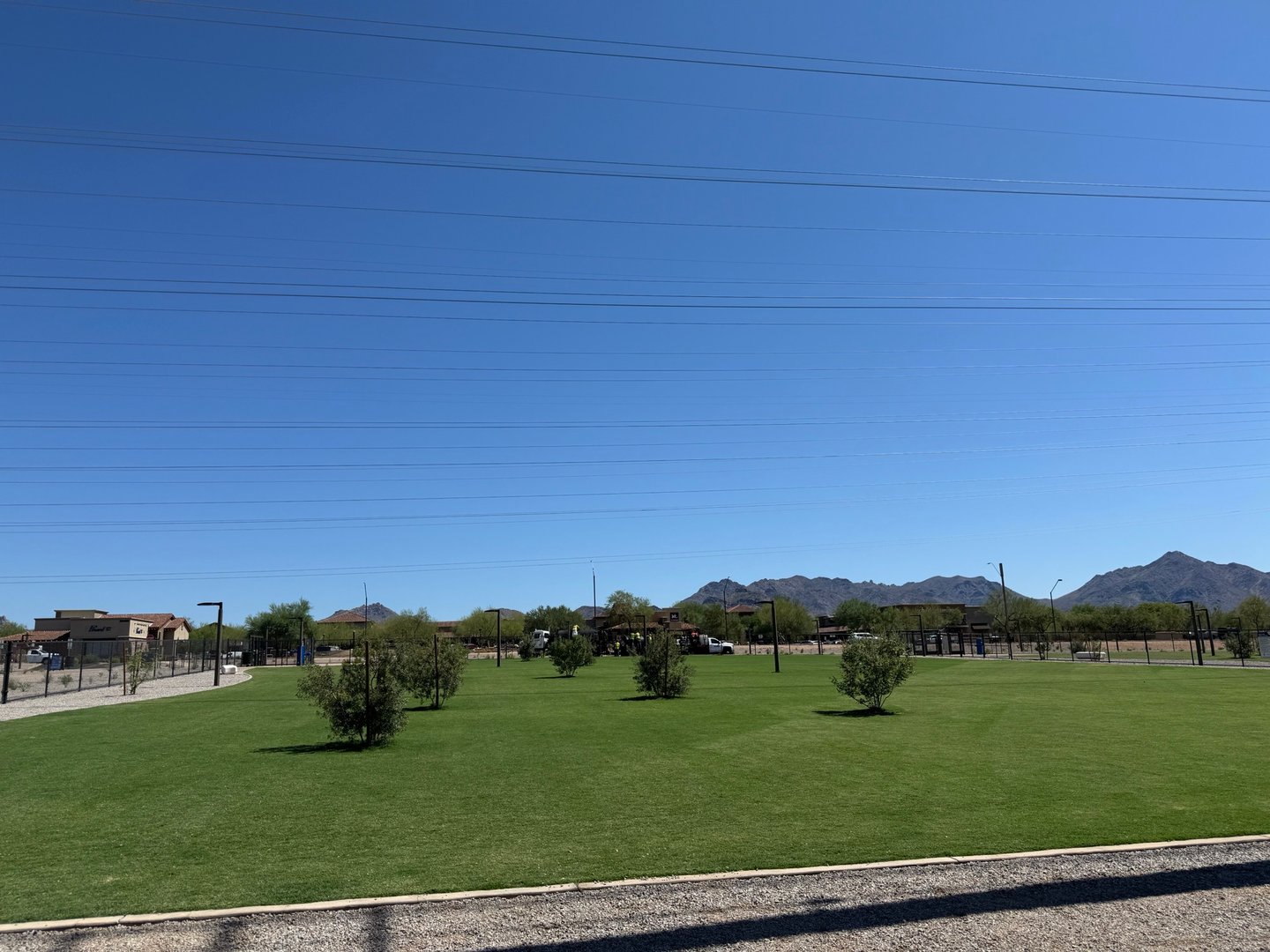 A dog trotting alone across an open turf cell at Thompson Peak Dog Park in Scottsdale, the kind of space where a park scuffle can happen fast