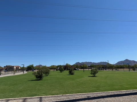 A dog trotting alone across an open turf cell at Thompson Peak Dog Park in Scottsdale, the kind of space where a park scuffle can happen fast