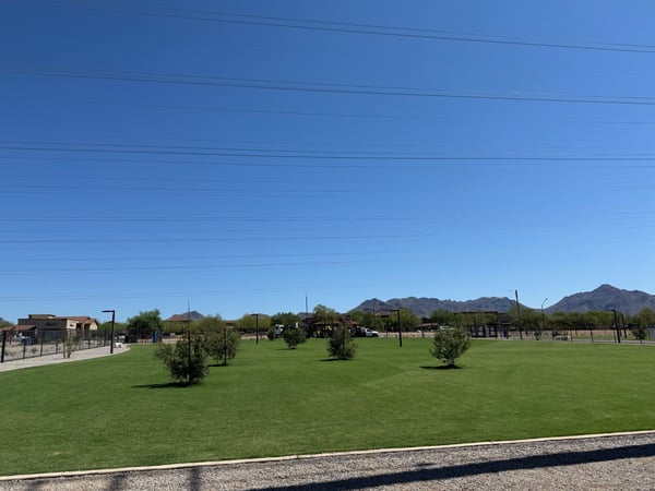 A dog trotting alone across an open turf cell at Thompson Peak Dog Park in Scottsdale, the kind of space where a park scuffle can happen fast