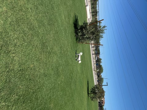 A small white dog stands on the turf at Thompson Peak Dog Park in North Scottsdale, with the fenced play area and neighborhood beyond