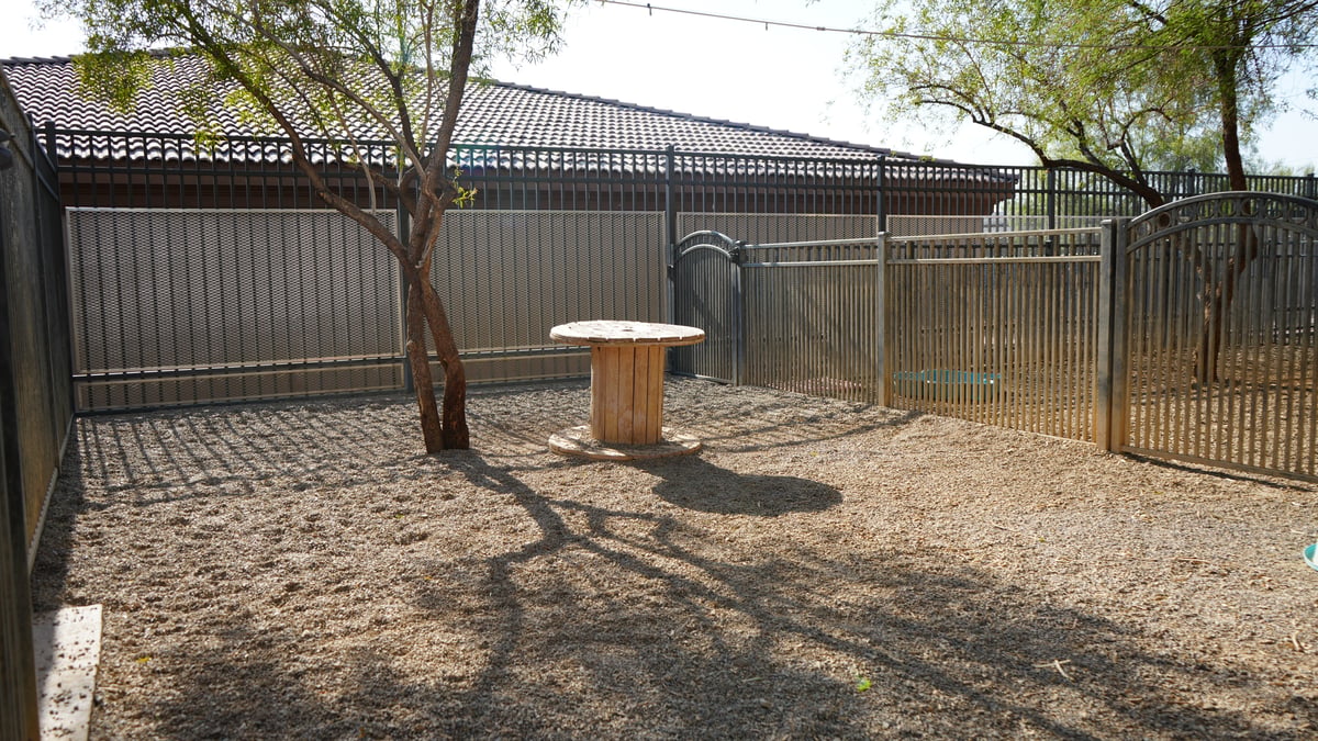 Empty shaded boarding yard at the Partners Dogs Cave Creek campus, the kind of quiet space worth asking about before you book a stay