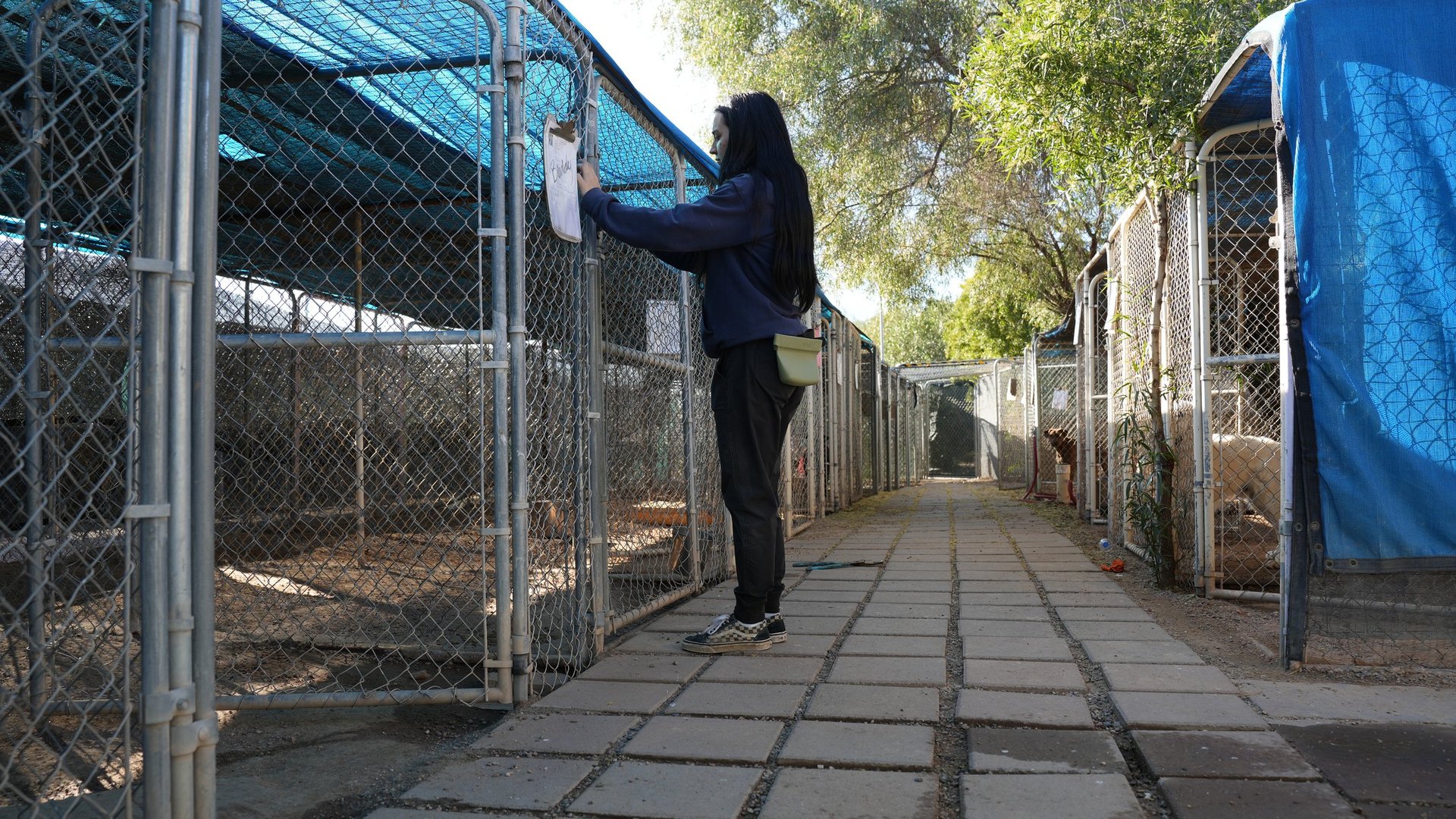 Staff member with a clipboard and treat pouch checking a row of outdoor boarding kennels at the Cave Creek facility.