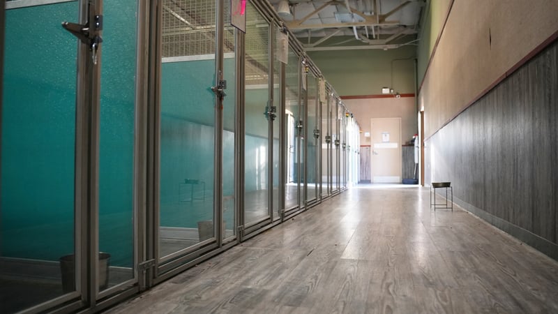 A bright indoor hallway of clean, glass-front boarding suites at Partners Dogs Scottsdale, the kind of staffed, on-site facility a pet-sitting app can't provide