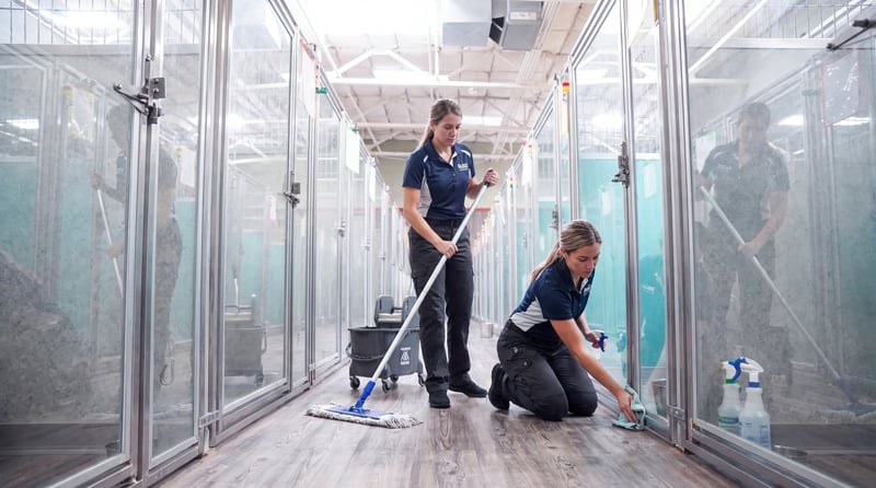 Staff cleaning a row of spacious, individually enclosed glass boarding suites at Partners Dogs, showing the low-density layout that keeps dogs separated and calm.