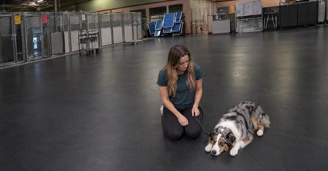 Emma Vincent sits with a resting Australian Shepherd on the main training floor at Partners Dogs Scottsdale.