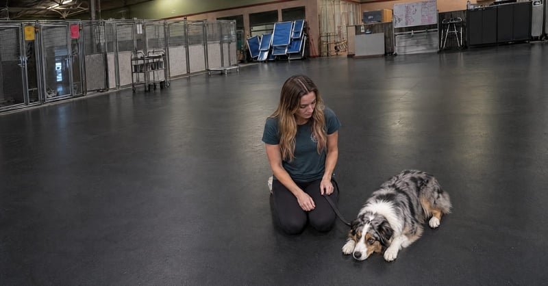 Emma Vincent sits with a resting Australian Shepherd on the main training floor at Partners Dogs Scottsdale.