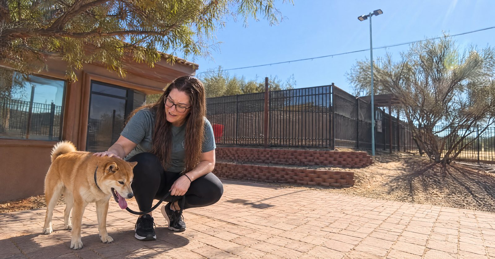 Megan Fiedler checks an overheated Shiba Inu panting heavily at Cave Creek