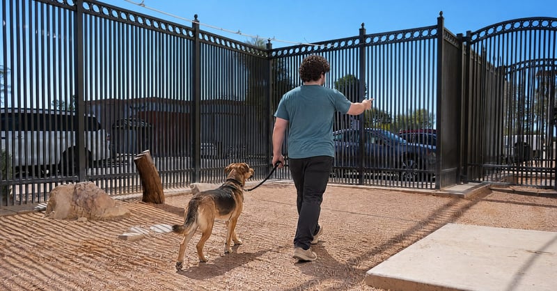 Kaiden giving a Pet Parent a facility tour in Scottsdale with a leashed adult mixed-breed dog
