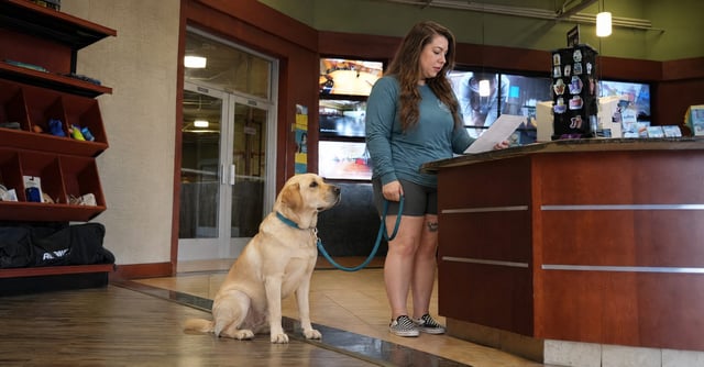 Nicole reviews vaccine records with a Pet Parent beside a calm Labrador at the front desk