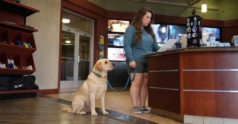 Nicole reviews vaccine records with a Pet Parent beside a calm Labrador at the front desk