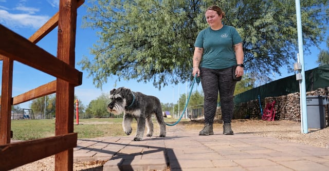 Kelsey Callahan observes a Miniature Schnauzer on the training field at Partners Dogs Cave Creek.