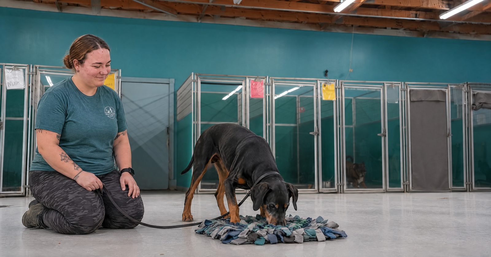 Amanda helps a senior Doberman Pinscher use a snuffle mat for enrichment at Partners Dogs in Cave Creek