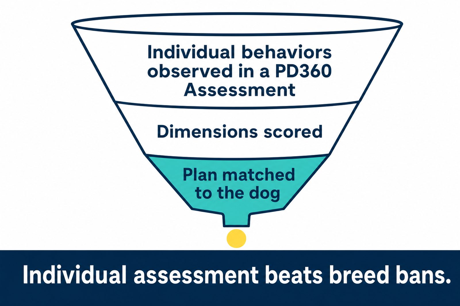Funnel graphic showing individual behavior assessment narrowing from observed behaviors to a matched plan