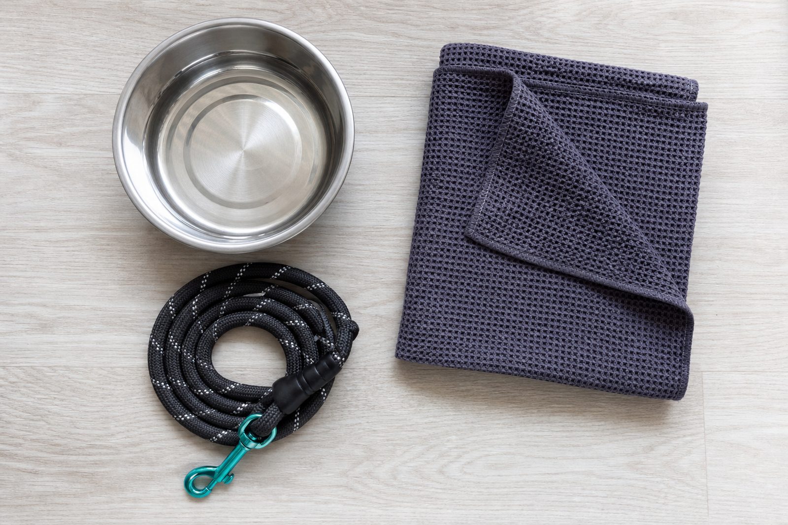 Dog gear packed for a spring training dog day: water bowl, six-foot leash, and shade towel