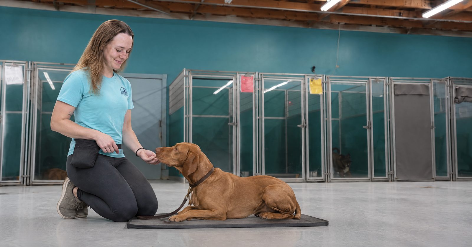 Trainer shaping a place on a mat with an adult Labrador Retriever under a patio table